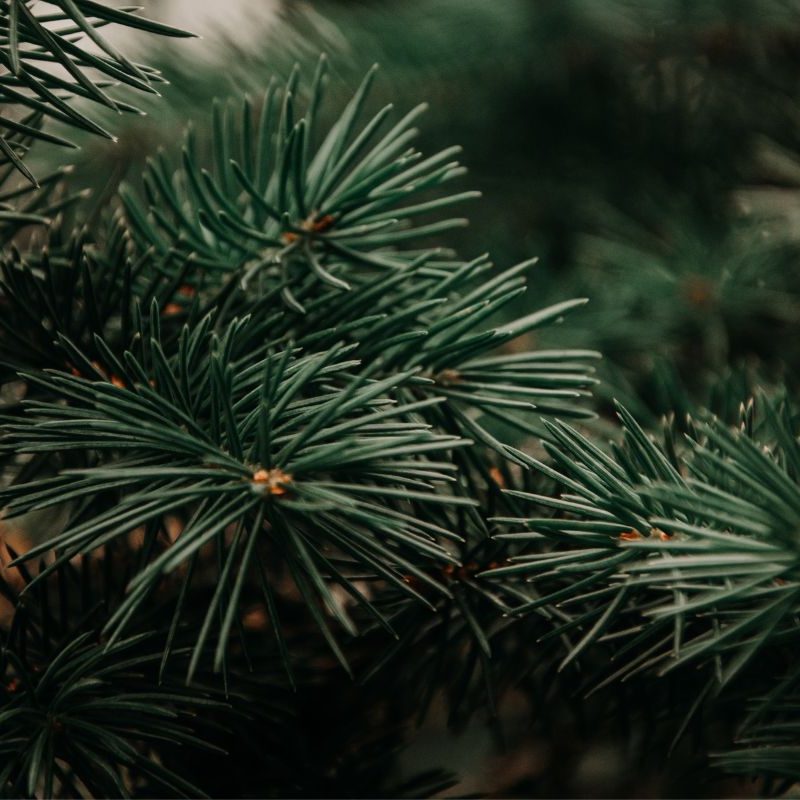 Image6 Image6